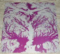 No Sense : Cerebral Cacophony